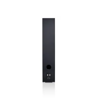 Напольная акустика Canton GLE 70 Black